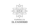 cachorro
